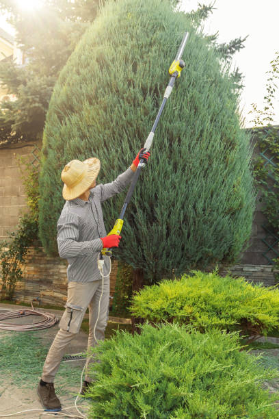 Best Lawn Pest Prevention  in Mount Pulaski, IL